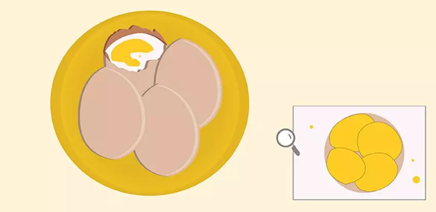 L’innovation dans l’œuf : la puissance des cellules souches pour valoriser l’innovation